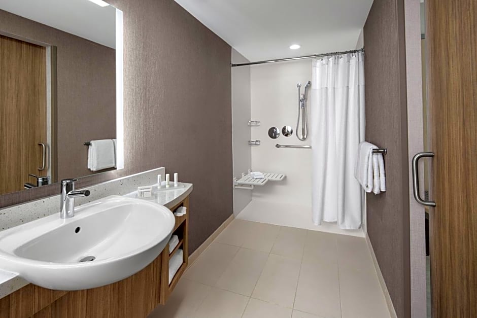 SpringHill Suites by Marriott East Rutherford Meadowlands Carlstadt