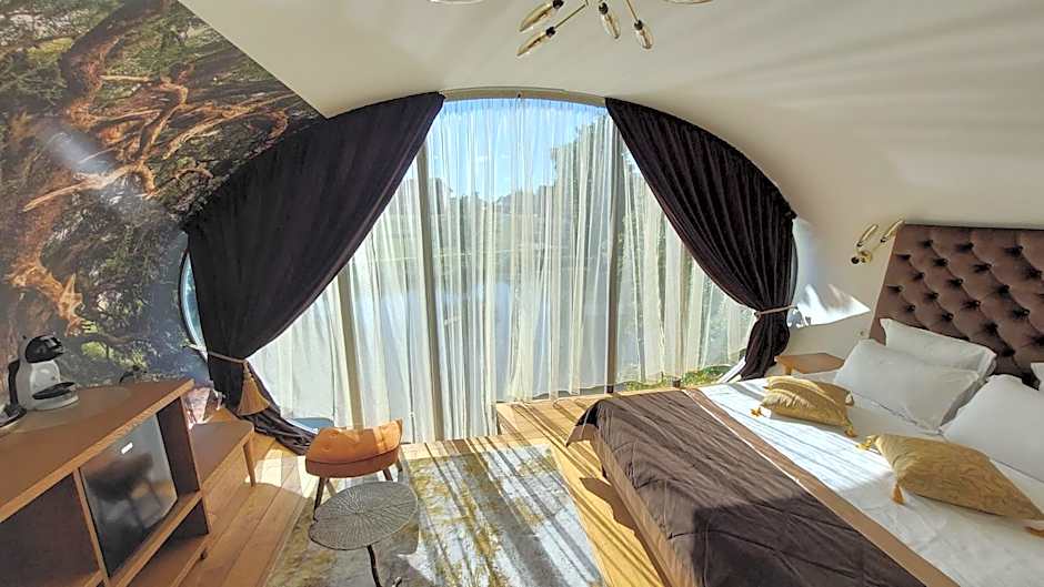 AKIS namelis medyje- Dinosaur Park