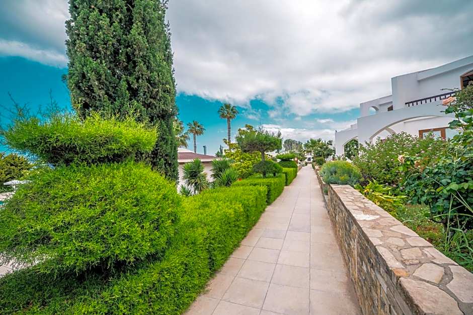 The Olive Tree Hotel