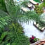 Hotel Casa Santiago Tulum