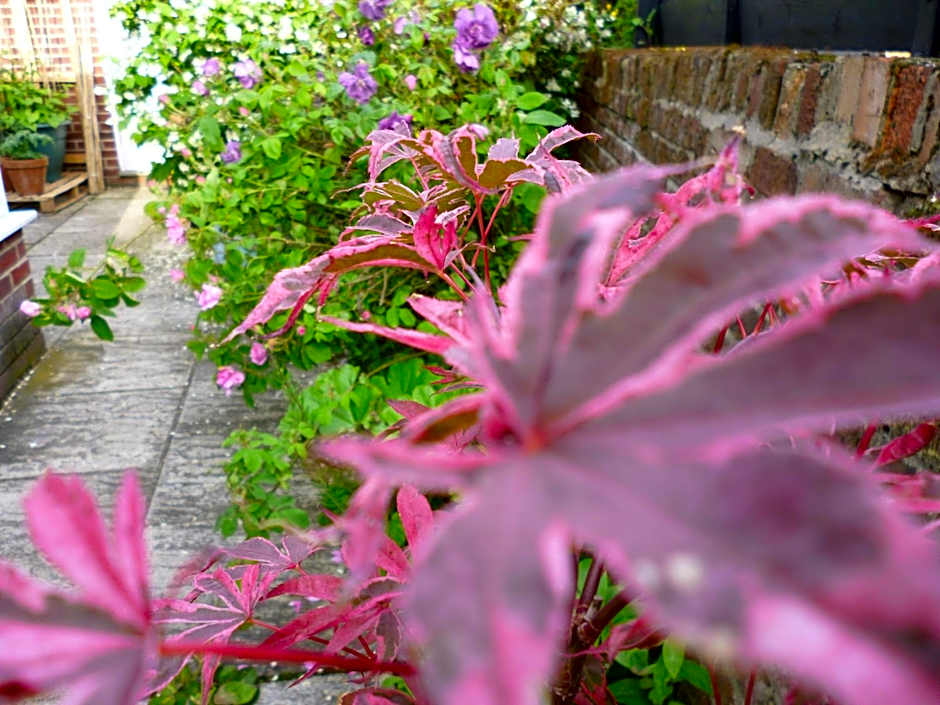 Copperfields Guest House