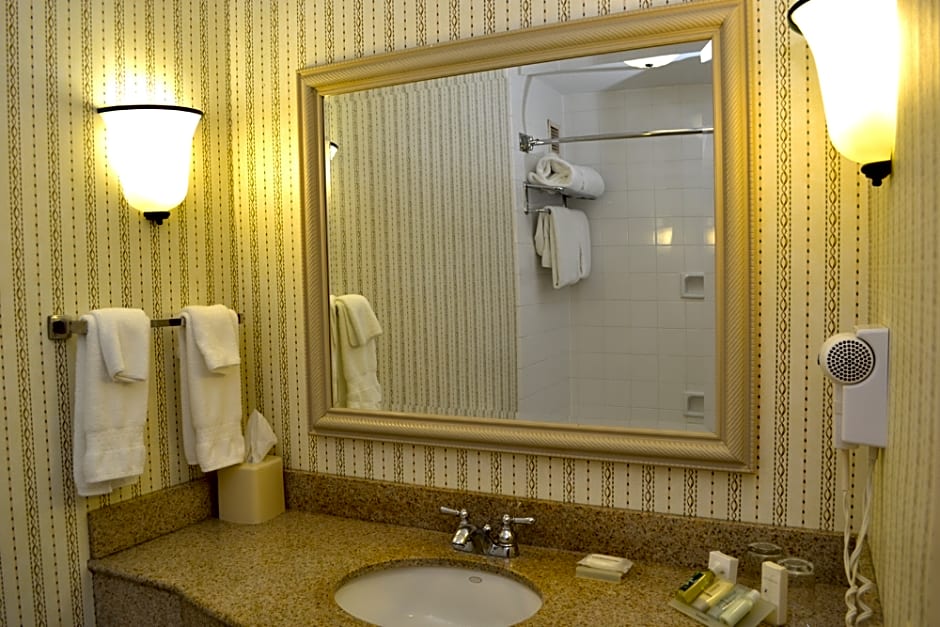 Wyndham Garden New Orleans Airport