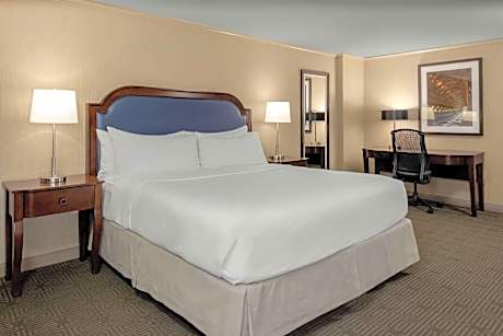 Junior Suite King Size Bed