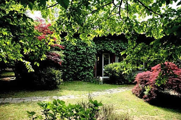 B&B L'Albero Maestro