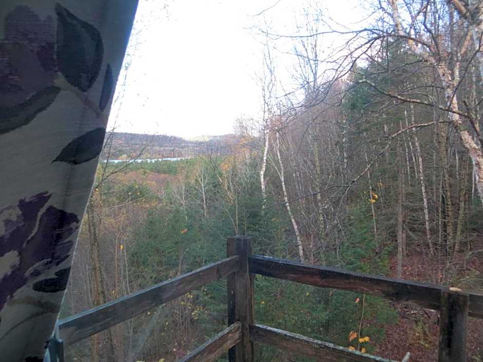 La maison sous les arbres