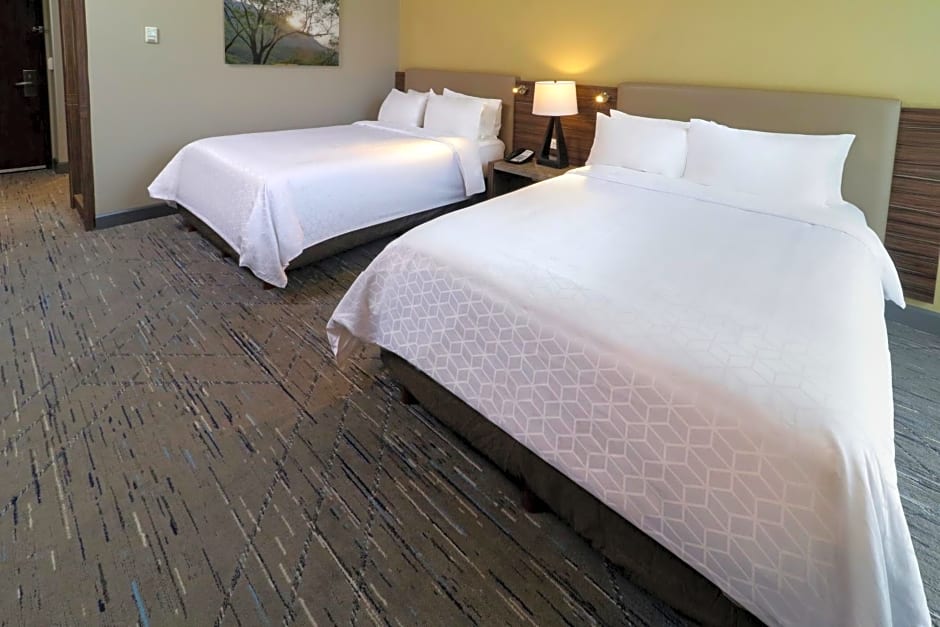 Holiday Inn Express & Suites Monterrey Valle By IHG