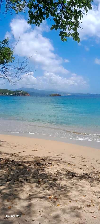 Studio de l'Anse Rouge Tartane