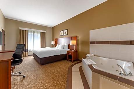 Comfort Inn & Suites Porter Near Indiana Dunes