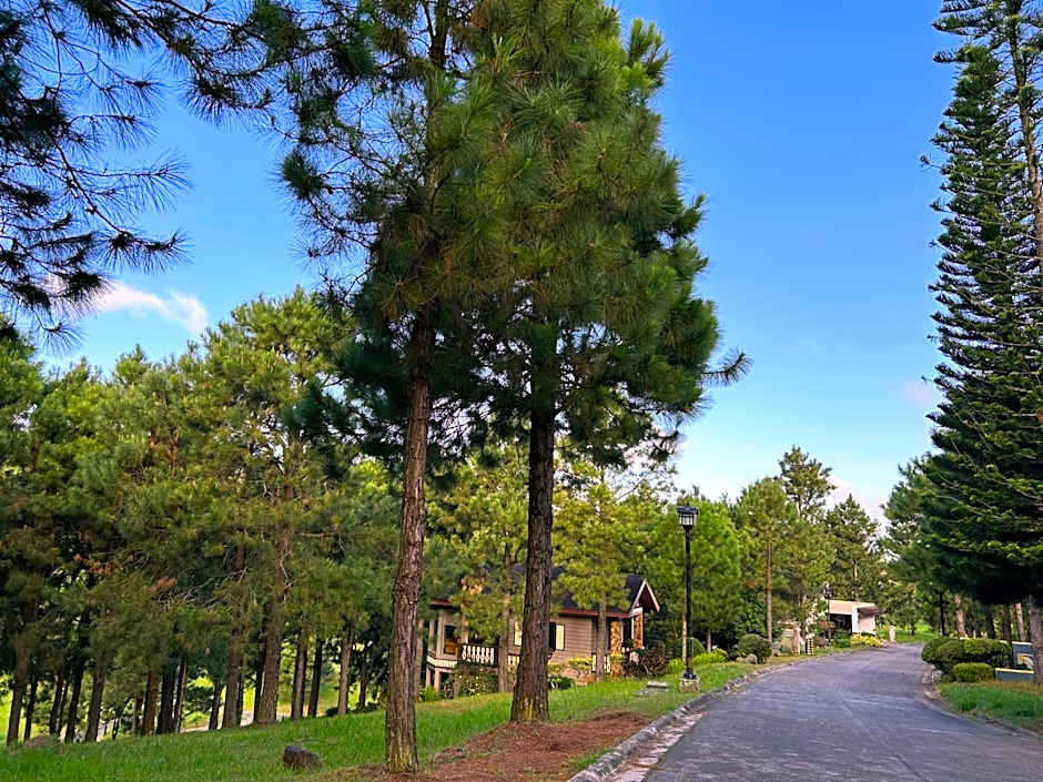 Crosswinds Family Standard Suite