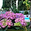 B&B Desenzano