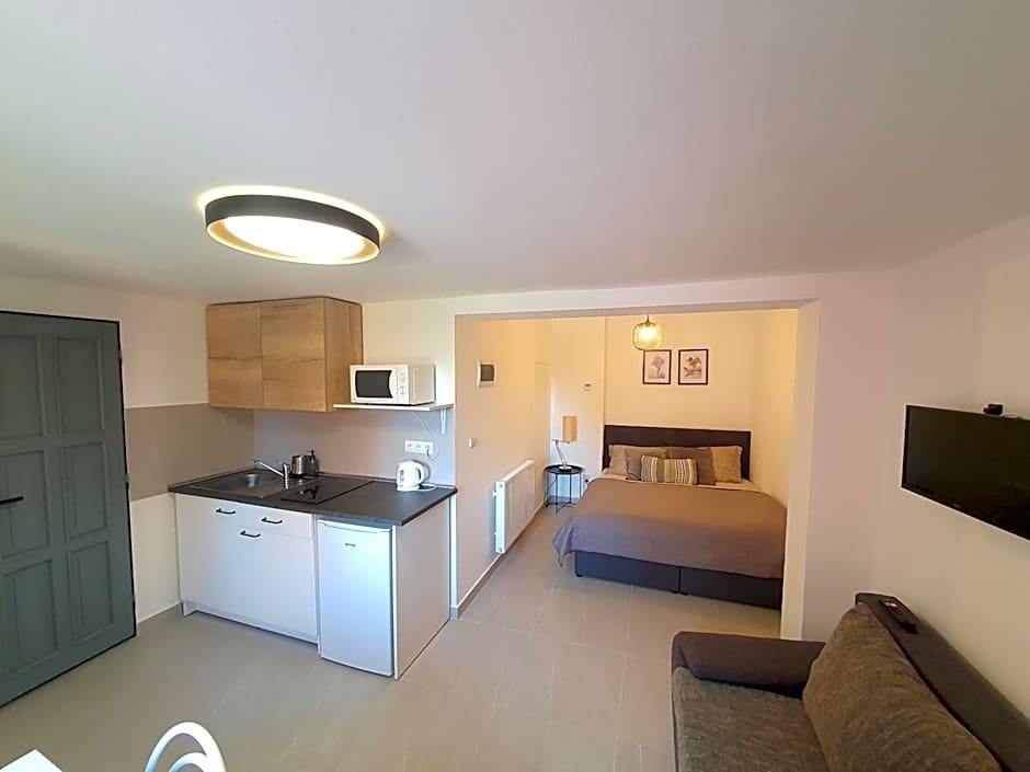 Apartmány ČERNÝ KOHOUT