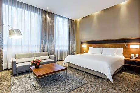 1 King Bed Junior Suite