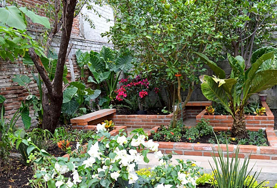 OYO Casa Rotter