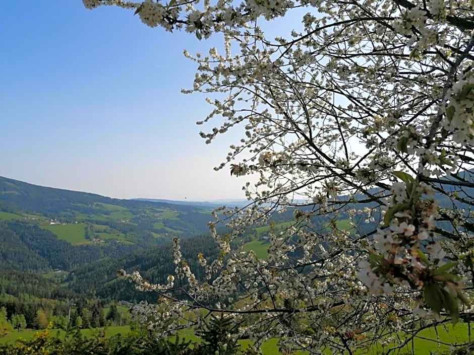 Alpengasthof Fernblick