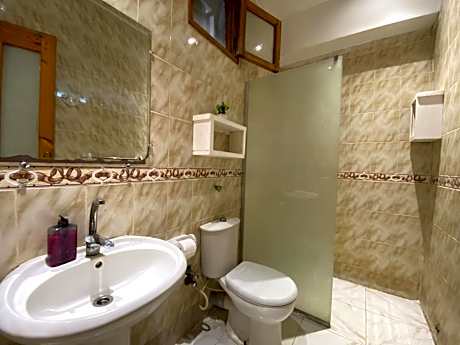 Deluxe Double or Twin Room with Pool View