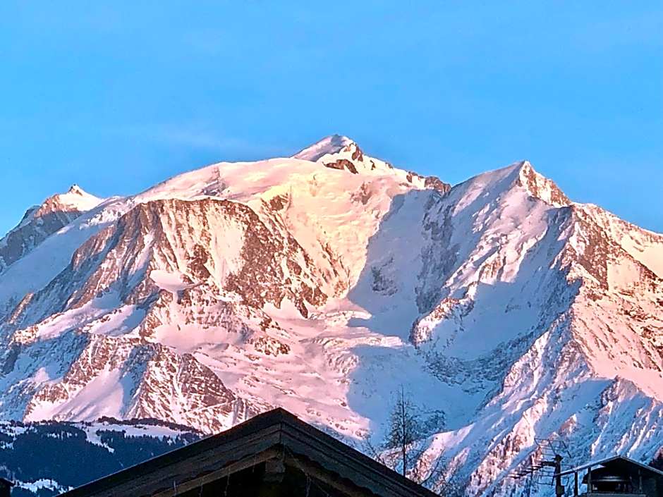 Chalet-Hôtel Les Rhodos