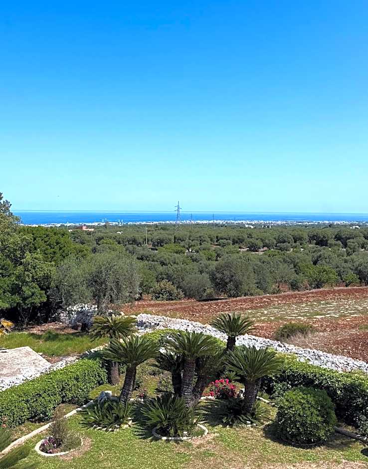 B&B Nonno Ciccio
