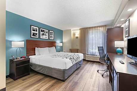 1 King Bed, Nonsmoking, Accessible