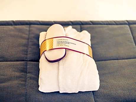 Privilège Suite with 1 Double Bed and a Sofa