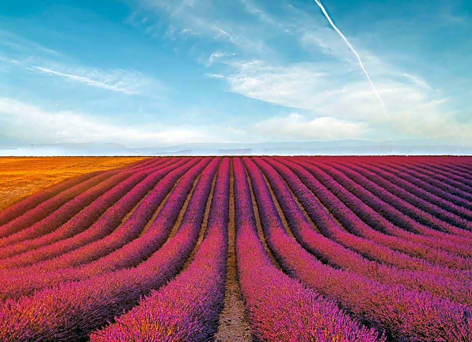 Domaine Ribiera, Hotel 5 Etoiles, SPA & Golf - Forcalquier