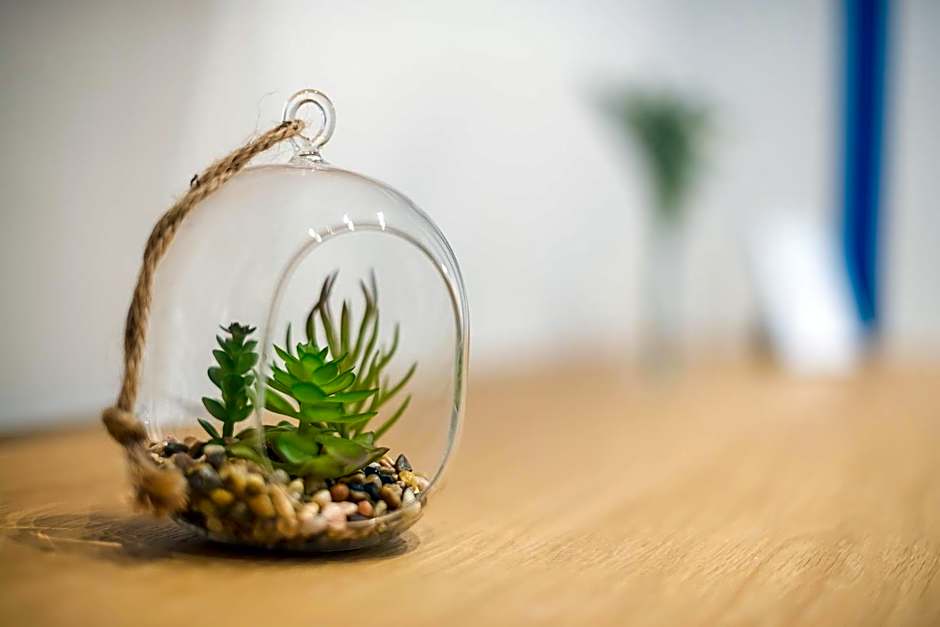 The Asprogeraka - self check-in rooms