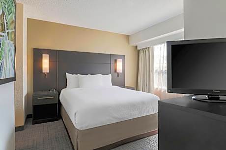 Studio, 1 Queen Bed with Sofa bed (1 Queen Bed and 1 Double Sofa Bed)