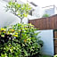 The Wina Guesthouse 2 by ZUZU
