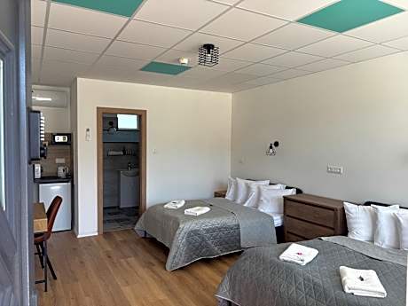 Ludwig Hotel Annex - Superior Twin Room