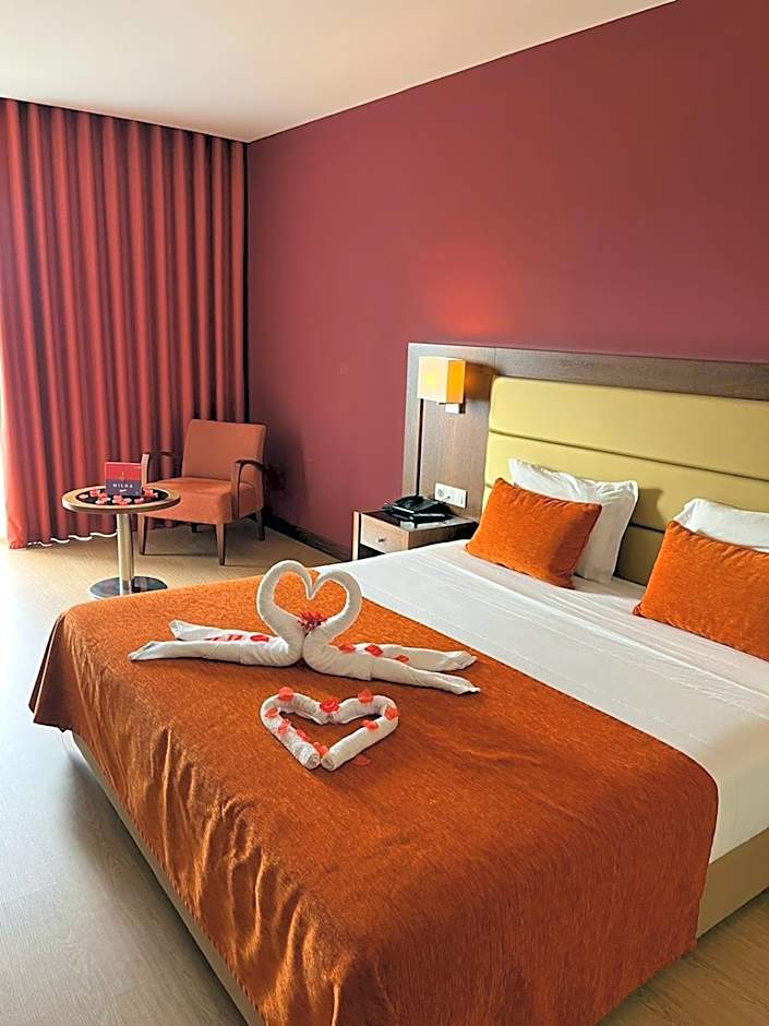 Palace Hotel & SPA Termas do Bicanho