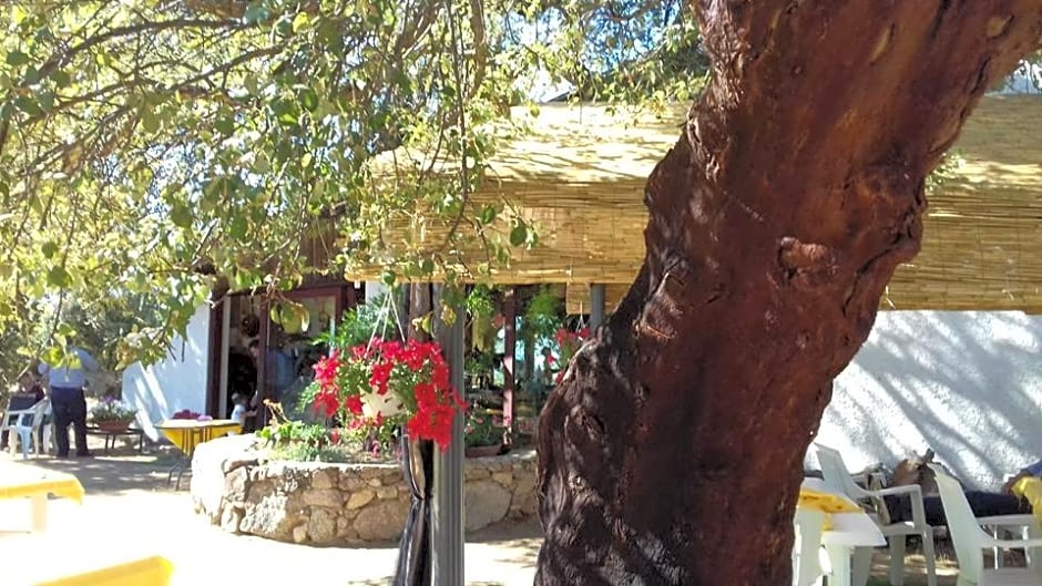 Agriturismo La tanca