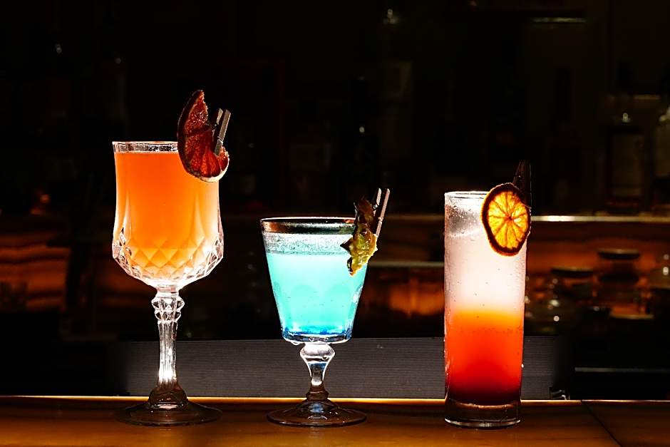 Radisson Blu Hotel New Delhi Paschim Vihar