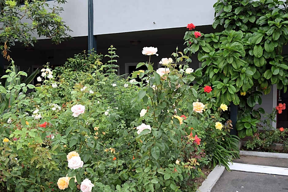Rose Garden Inn