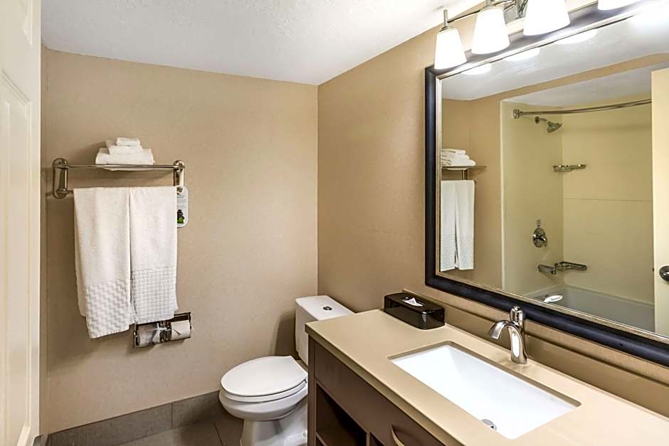 Best Western Plus Cottontree Inn