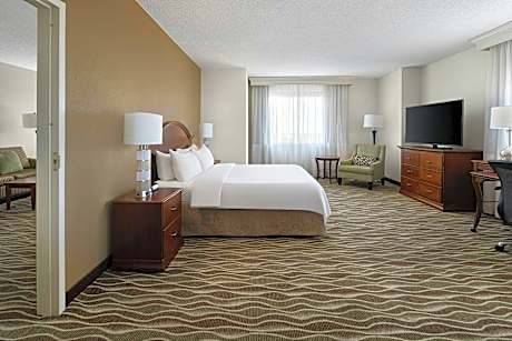 1 Bedroom 2 room Suite, 1 King