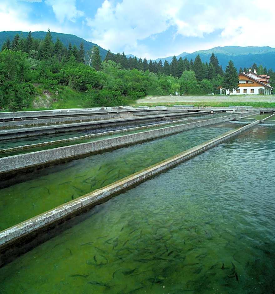 Affittacamere Alle Trote