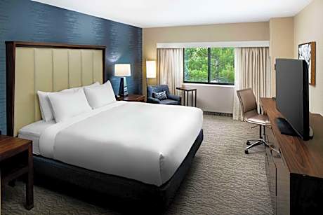 1 King 1 Queen 3 Room Suite - Living Room