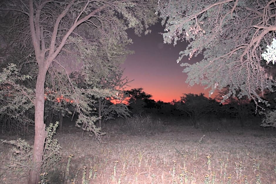 Kameel Rust and Vrede B & B, Camping and Venue