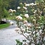 Gasthof & Landhotel Ohrnbachtal