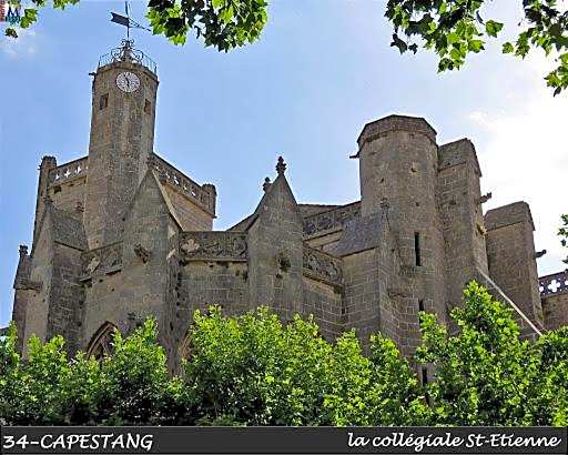 Chambres d'hotes la Soulenque Luxury B & B