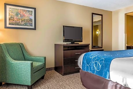 1 King Bed, Suite, Nonsmoking, Accessible
