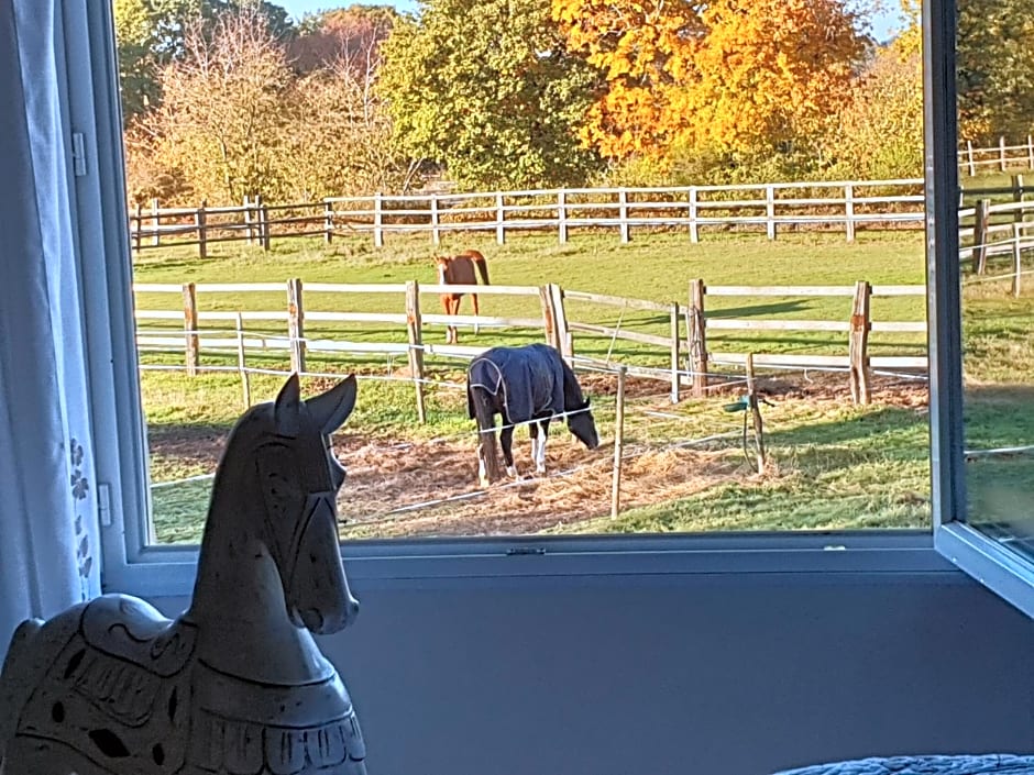 Chambre d'hôte de l'élevage du Lattay