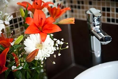 Casa Felicidad B&B Room & Kitchen