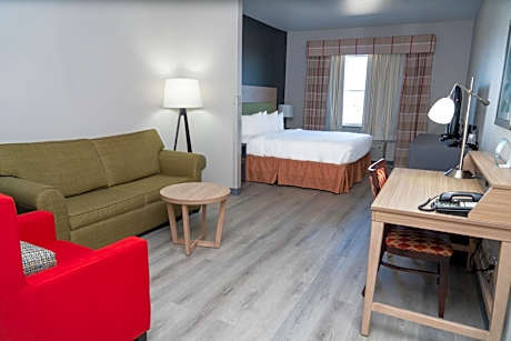 One-Bedroom King Suite - Non-Smoking