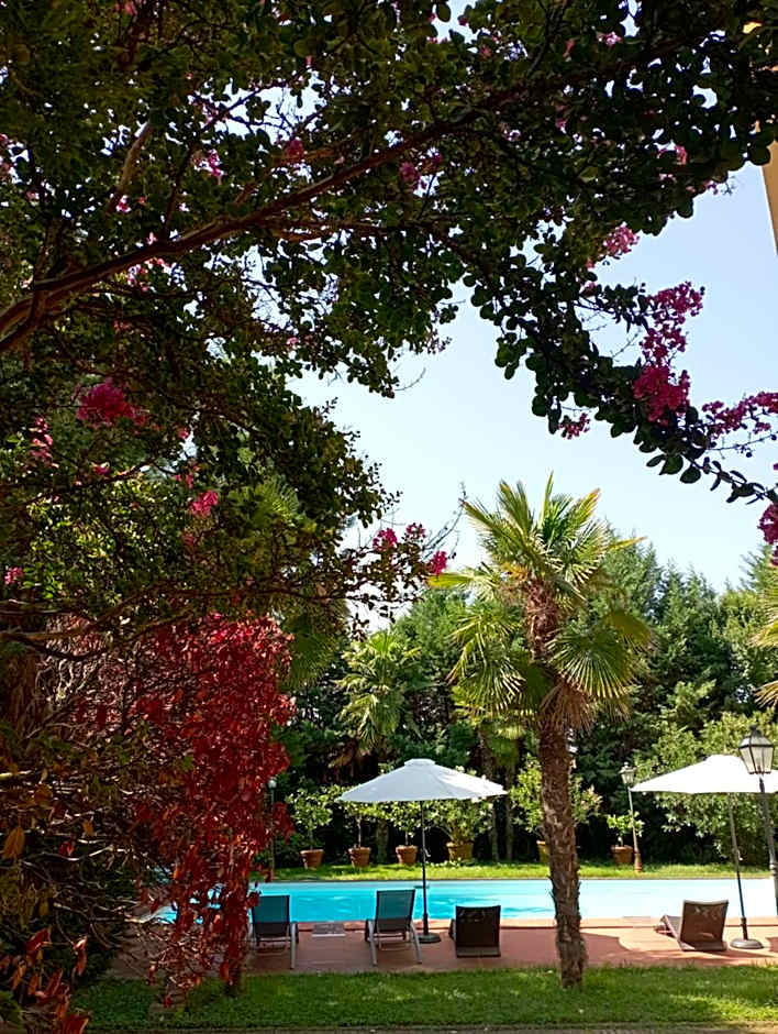 B&B Villa delle Palme