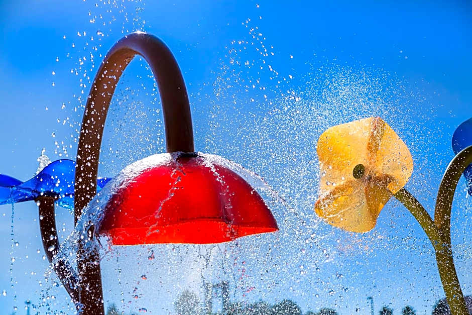 Rosen Inn Lake Buena Vista Orlando