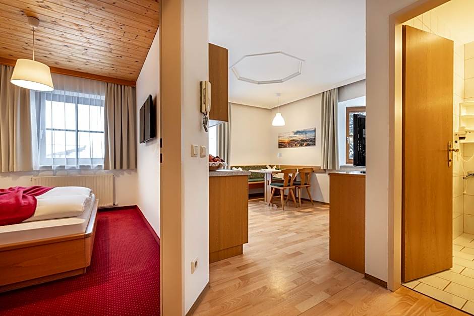 Aparthotel Dachsteinblick