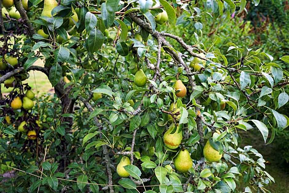 slube an den Teichen Hoher Fläming