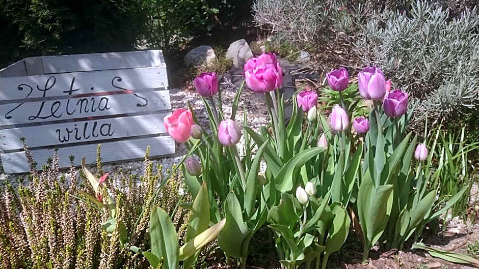 Letnia willa Jacuzzi & Sauna