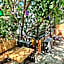 Shantihome Hostel Izmir