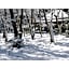 River Side Arashiyama - Vacation STAY 86224v